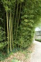Orto Botanico